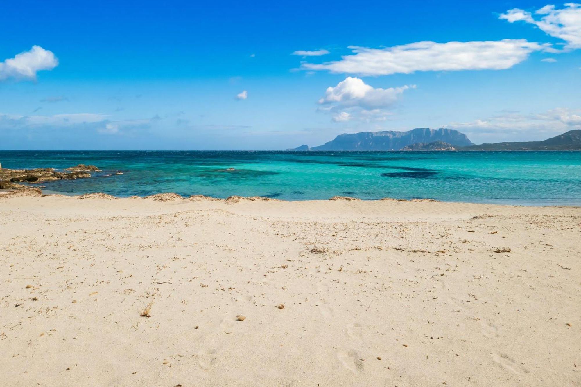 Dimora Di Rosy Pittulongu - Happy Rentals Olbia Exterior foto